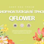 Shop hoa tươi giá rẻ TPHCM