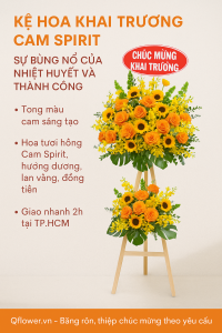 Đặt kệ hoa khai trương cam spirit rực rỡ hiện đại tại Shop Hoa Tươi Phú Nhuận Qflower - kệ hoa khai trương Cam Spirit tông cam vàng nổi bật, kết hợp hoa hồng cam, hướng dương, lan vàng và đồng tiền, thiết kế hai tầng hiện đại trên chân gỗ cao cấp, giao nhanh 2h tại TP.HCM bởi Qflower.vn.