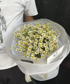 Bó hoa cúc Tana tươi tinh khôi | Bó hoa đơn giản, ý nghĩa tại Qflower