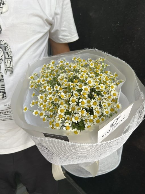 Bó hoa cúc Tana tươi tinh khôi | Bó hoa đơn giản, ý nghĩa tại Qflower