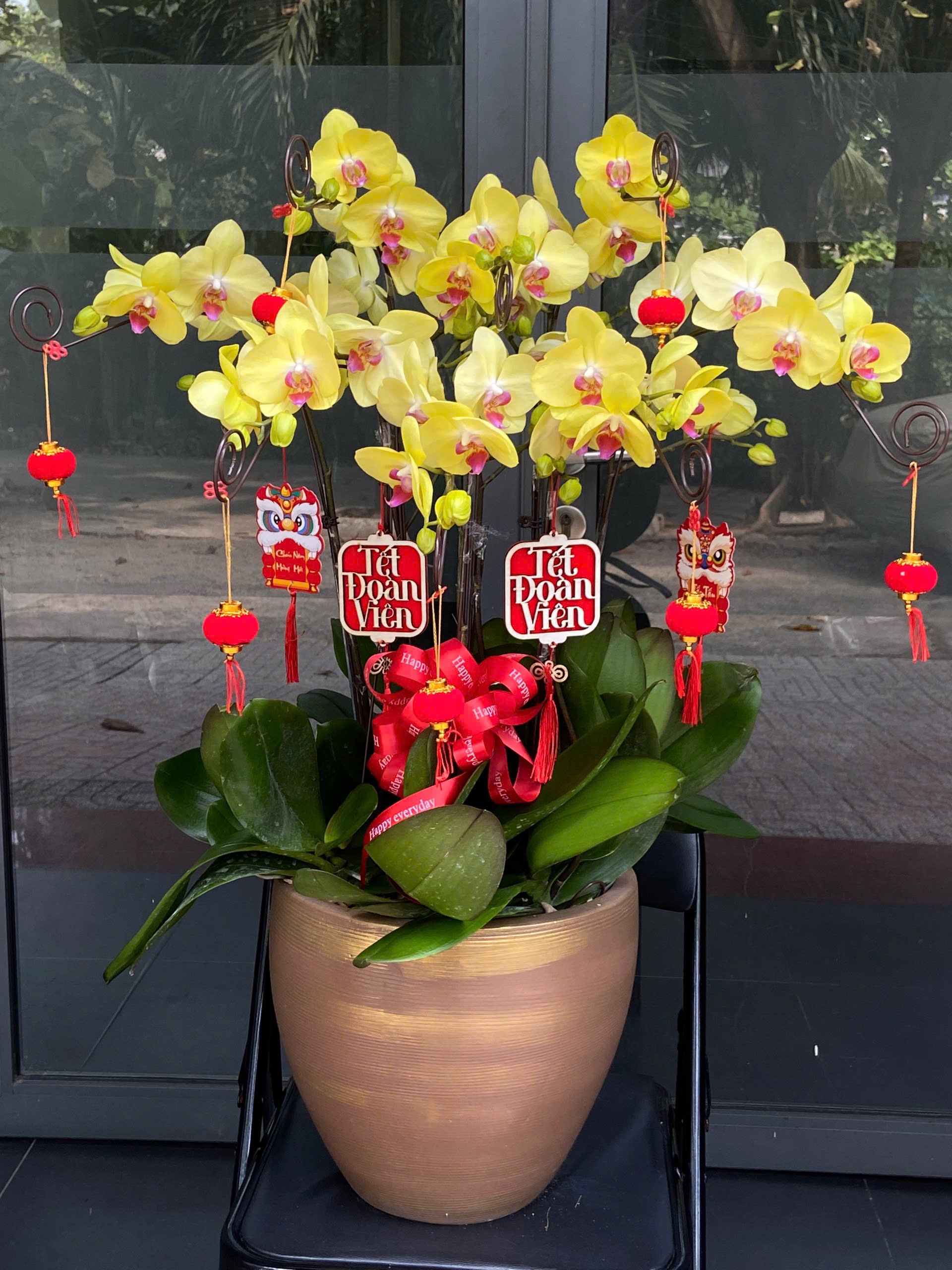 Chậu Lan Hồ Điệp Ngọc Vàng An Nhiên – Sang Trọng – Tài Lộc 1 Chậu lan hồ điệp Ngọc Vàng An Nhiên – sắc vàng may mắn, sang trọng, phù hợp biếu Tết – tặng sếp – trang trí nhà cửa. Lan loại 1, bền 30–45 ngày. Giao nhanh 60 phút tại Phú Nhuận và toàn TPHCM. Đặt ngay tại Qflower!