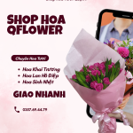 Shop hoa tươi Quận 9 Qflower uy tín – hoa tươi mới mỗi ngày, thiết kế sang trọng, giao nhanh 2h, đúng mẫu, giá minh bạch. Nhận đặt hoa 24/7 - hoa sinh nhật, khai trương, lan hồ điệp, hoa chia buồn.