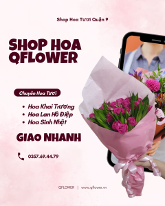 Shop hoa tươi Quận 9 Qflower uy tín – hoa tươi mới mỗi ngày, thiết kế sang trọng, giao nhanh 2h, đúng mẫu, giá minh bạch. Nhận đặt hoa 24/7 - hoa sinh nhật, khai trương, lan hồ điệp, hoa chia buồn.